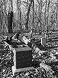At Rest 24